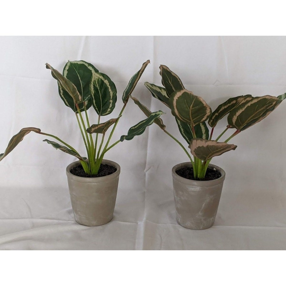 2 Set Hearth & Hand Magnolia Faux Calathea Potted Plant 14in Easy Office NEW